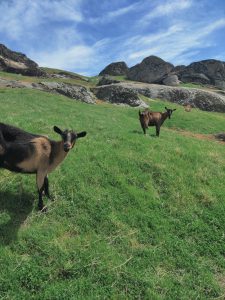 צפון מקדוניה טיול באפריל