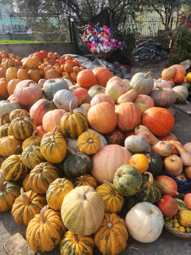 דלעות באוקטובר אלבניה