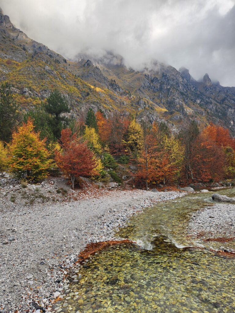 שלכת בולבונה אוקטובר 2025