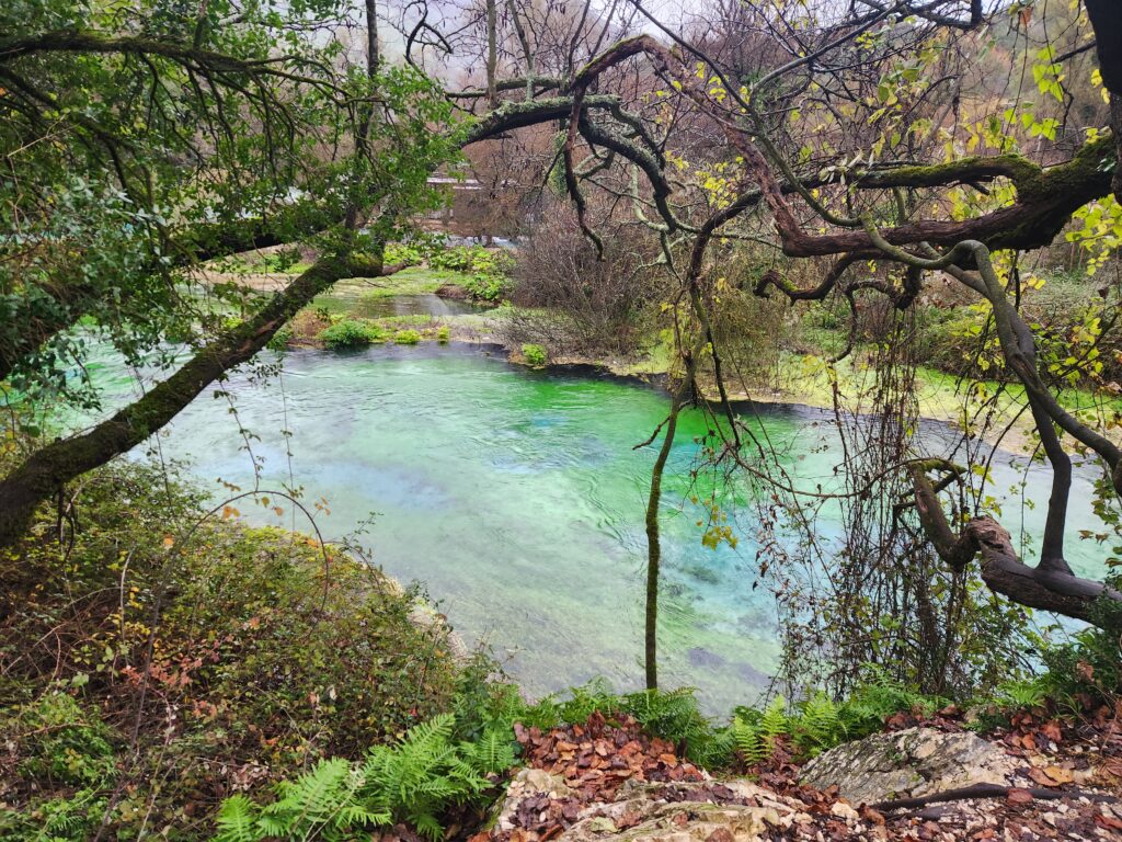 העין הכחולה של סרנדה