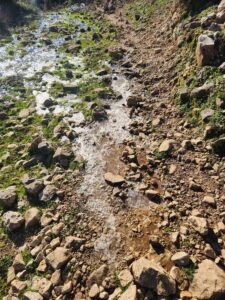 קרח על השביל אלבניה 2026